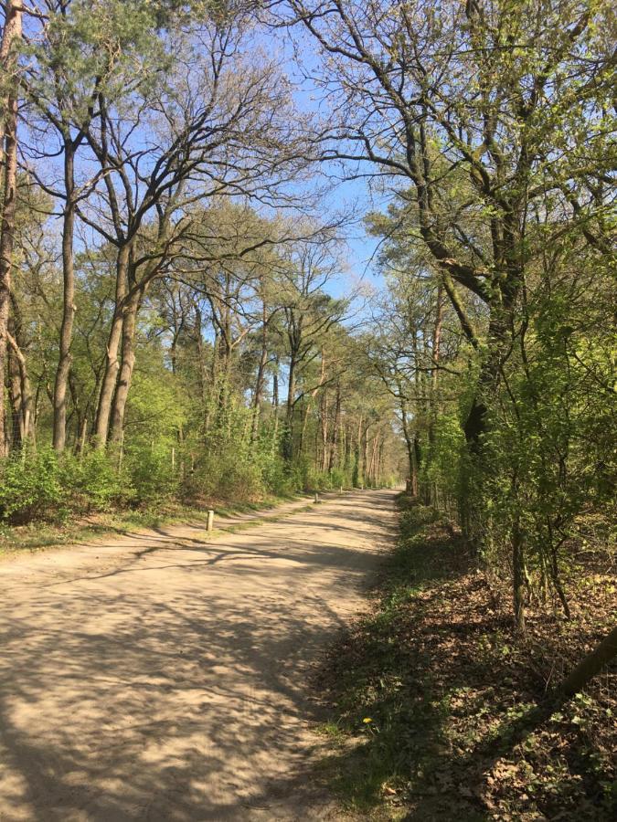 Geschakelde Bungalow Op De Veluwe "De Eekhoorn" オッテルロ エクステリア 写真